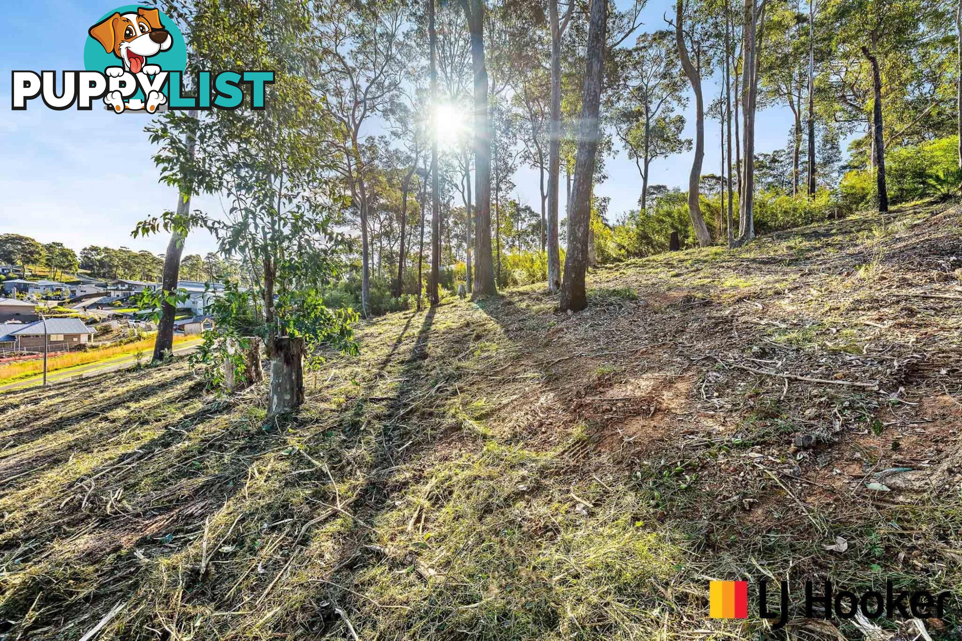 3 Currawong Crescent MALUA BAY NSW 2536