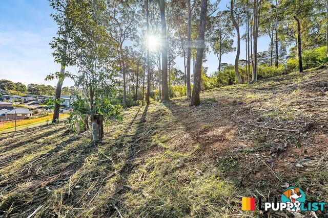 3 Currawong Crescent MALUA BAY NSW 2536