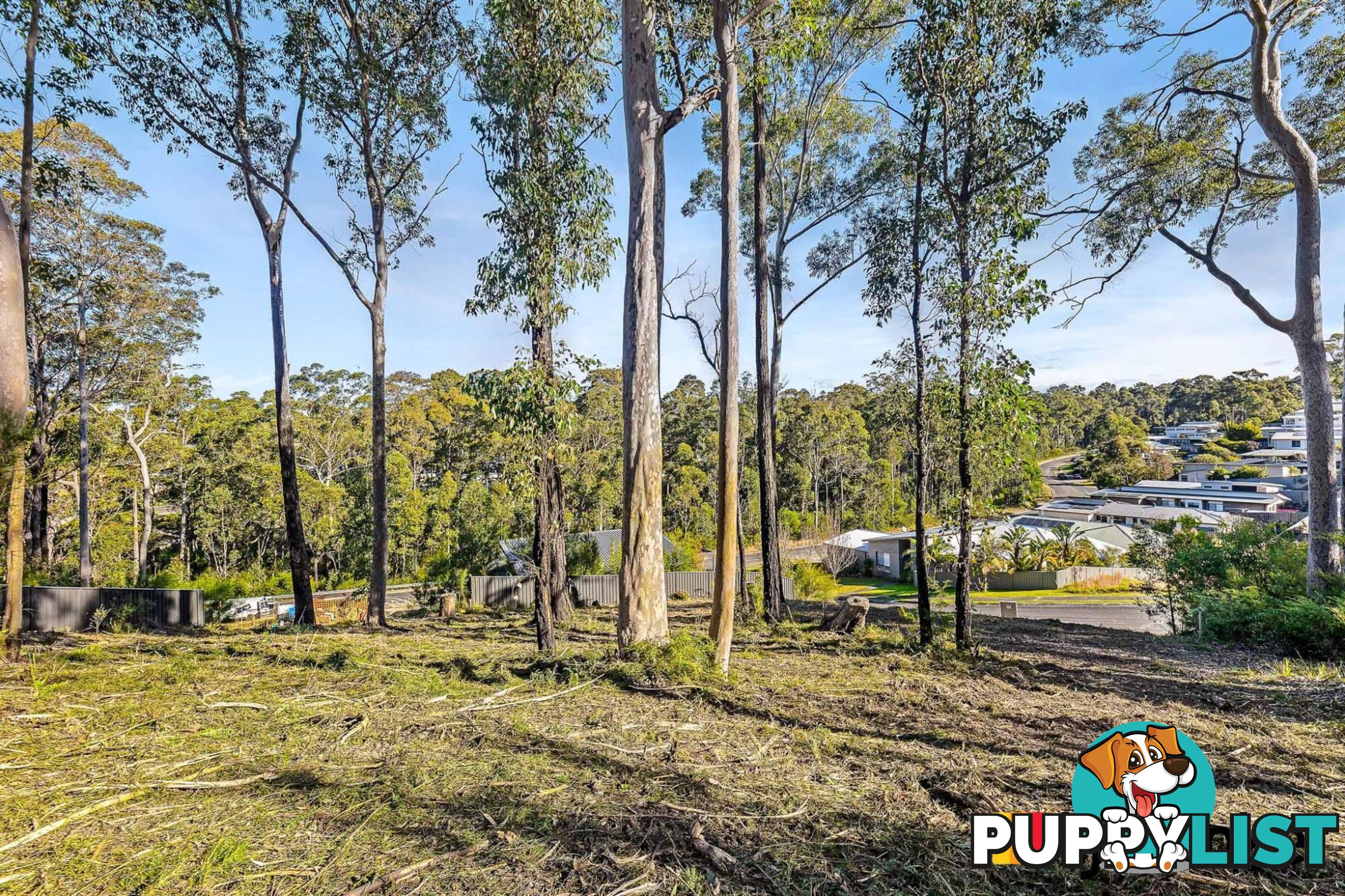 3 Currawong Crescent MALUA BAY NSW 2536