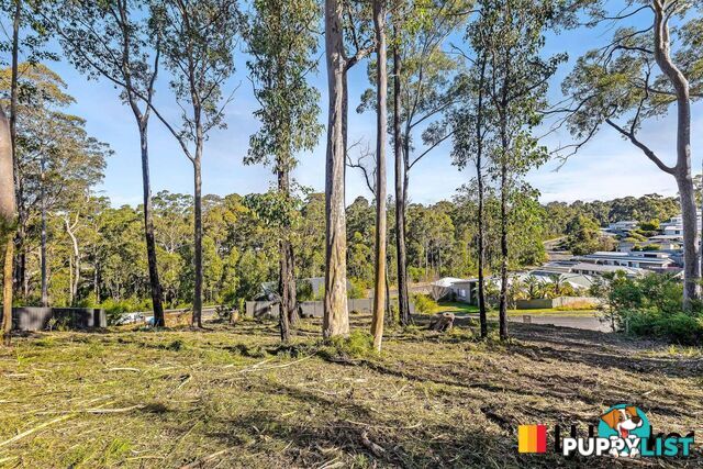 3 Currawong Crescent MALUA BAY NSW 2536