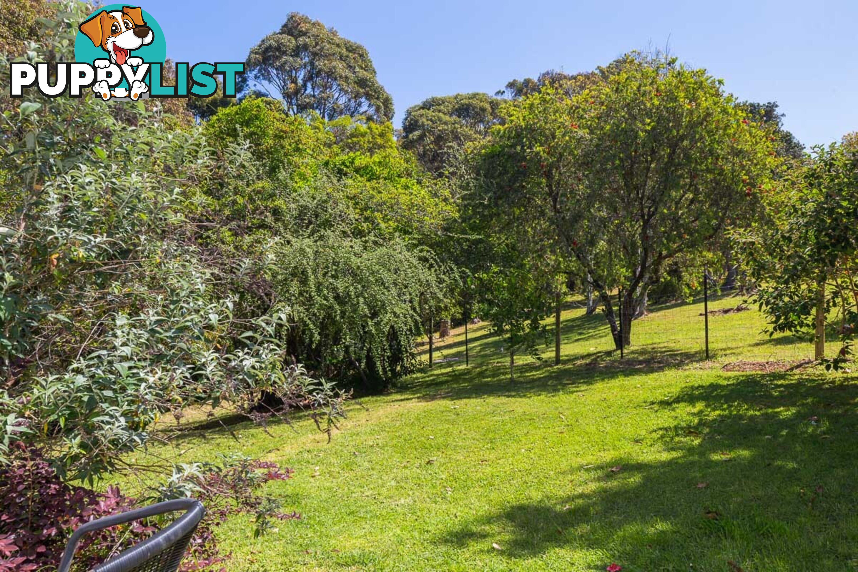 104 Tallawang Ave MALUA BAY NSW 2536