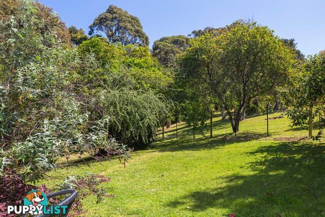 104 Tallawang Ave MALUA BAY NSW 2536