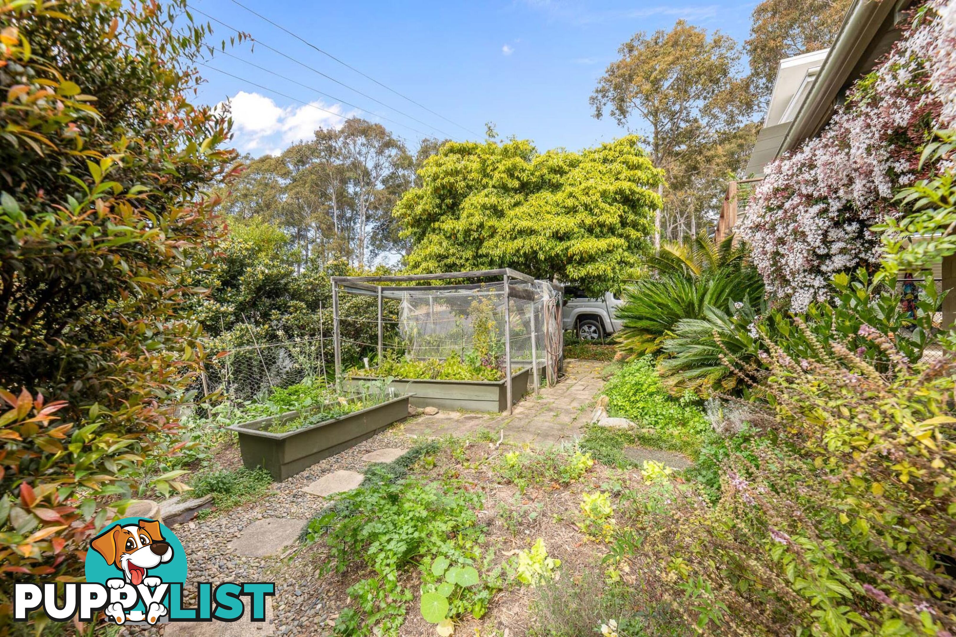 15 Hazel Road MORUYA HEADS NSW 2537