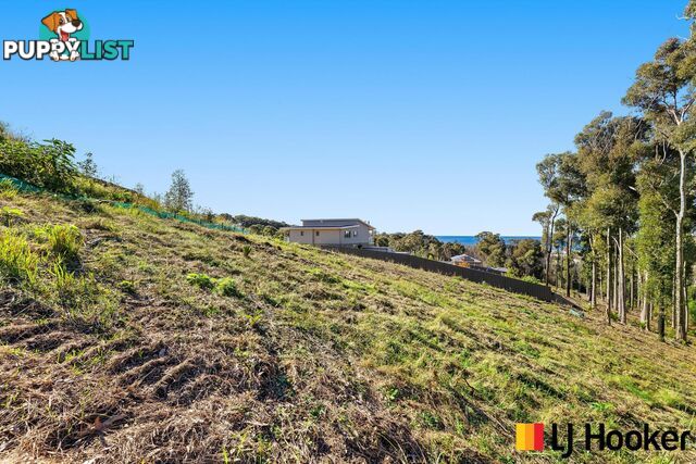 13 Corymbia Place MALUA BAY NSW 2536