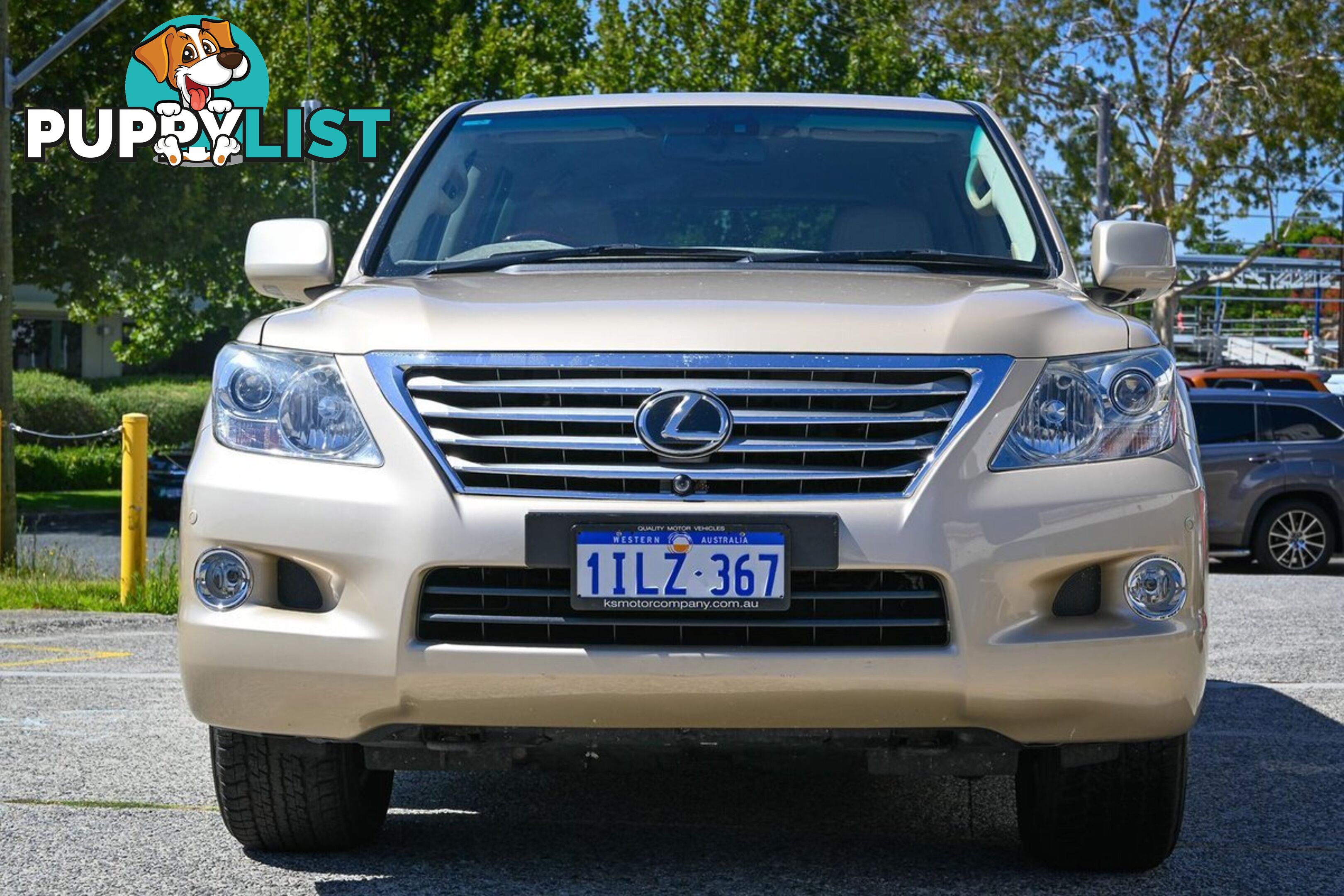 2008 LEXUS LX 570-SPORTS-LUXURY URJ201R-4X4-CONSTANT SUV