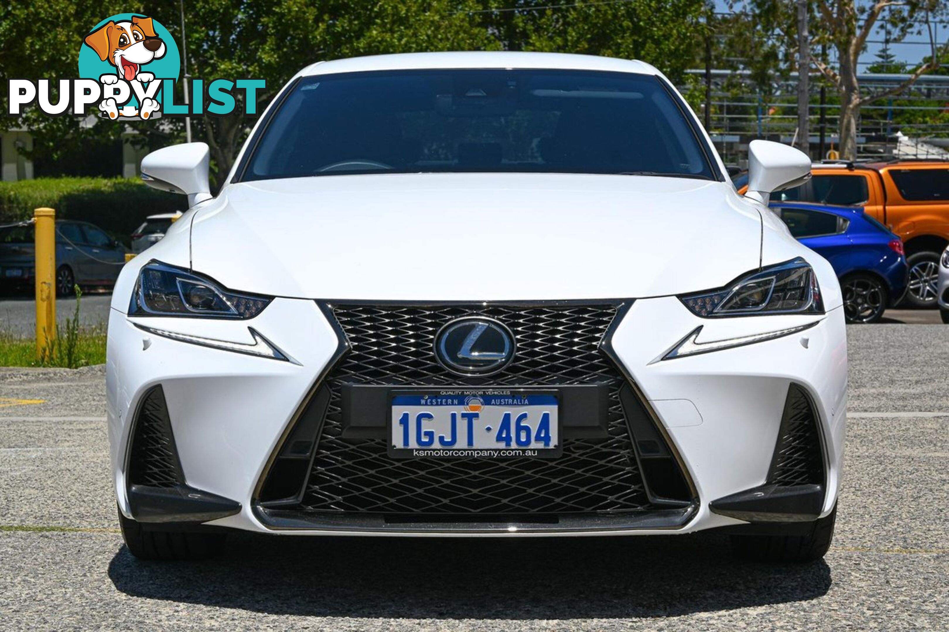 2020 LEXUS IS 300-F-SPORT ASE30R SEDAN