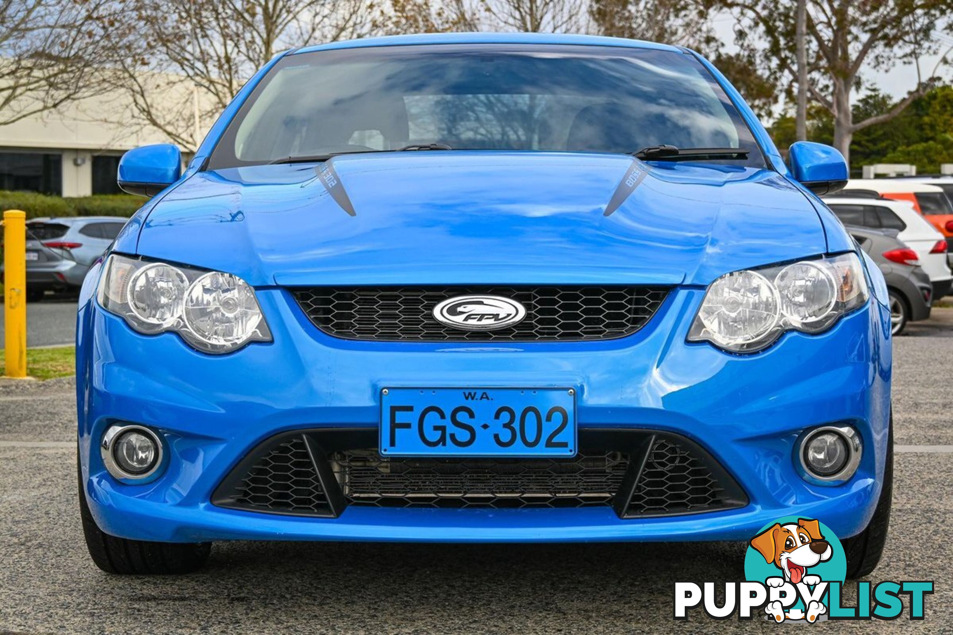 2009 FORD-PERFORMANCE-VEHICLES GS 302 FG SEDAN