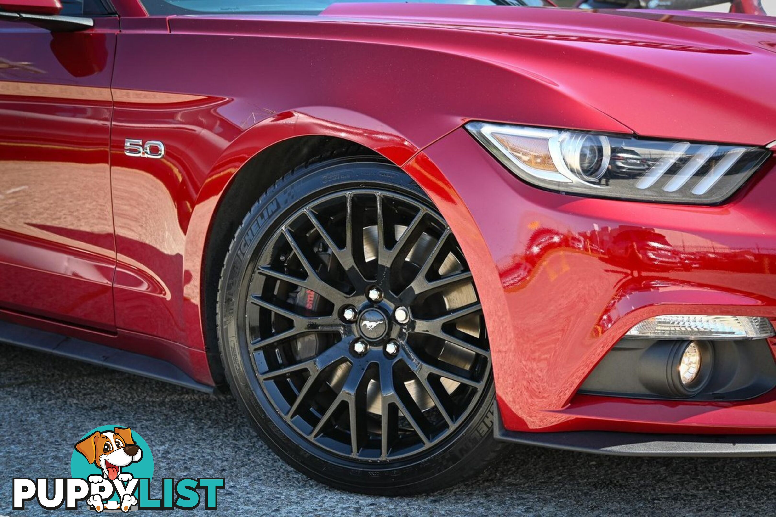 2017 FORD MUSTANG GT FM-MY17 FASTBACK - COUPE