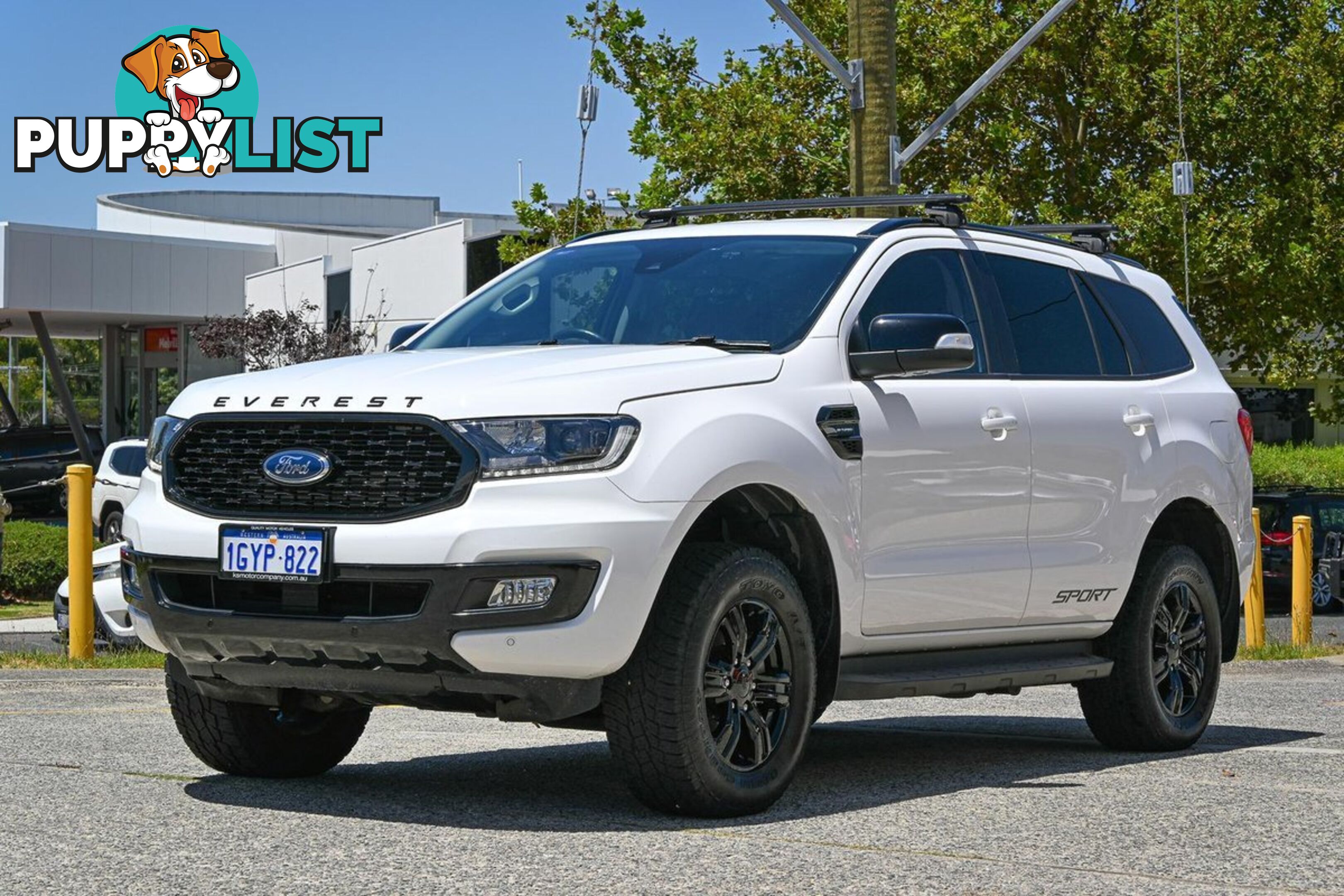 2019 FORD EVEREST SPORT UA-II-MY20.25-4X4-DUAL-RANGE SUV