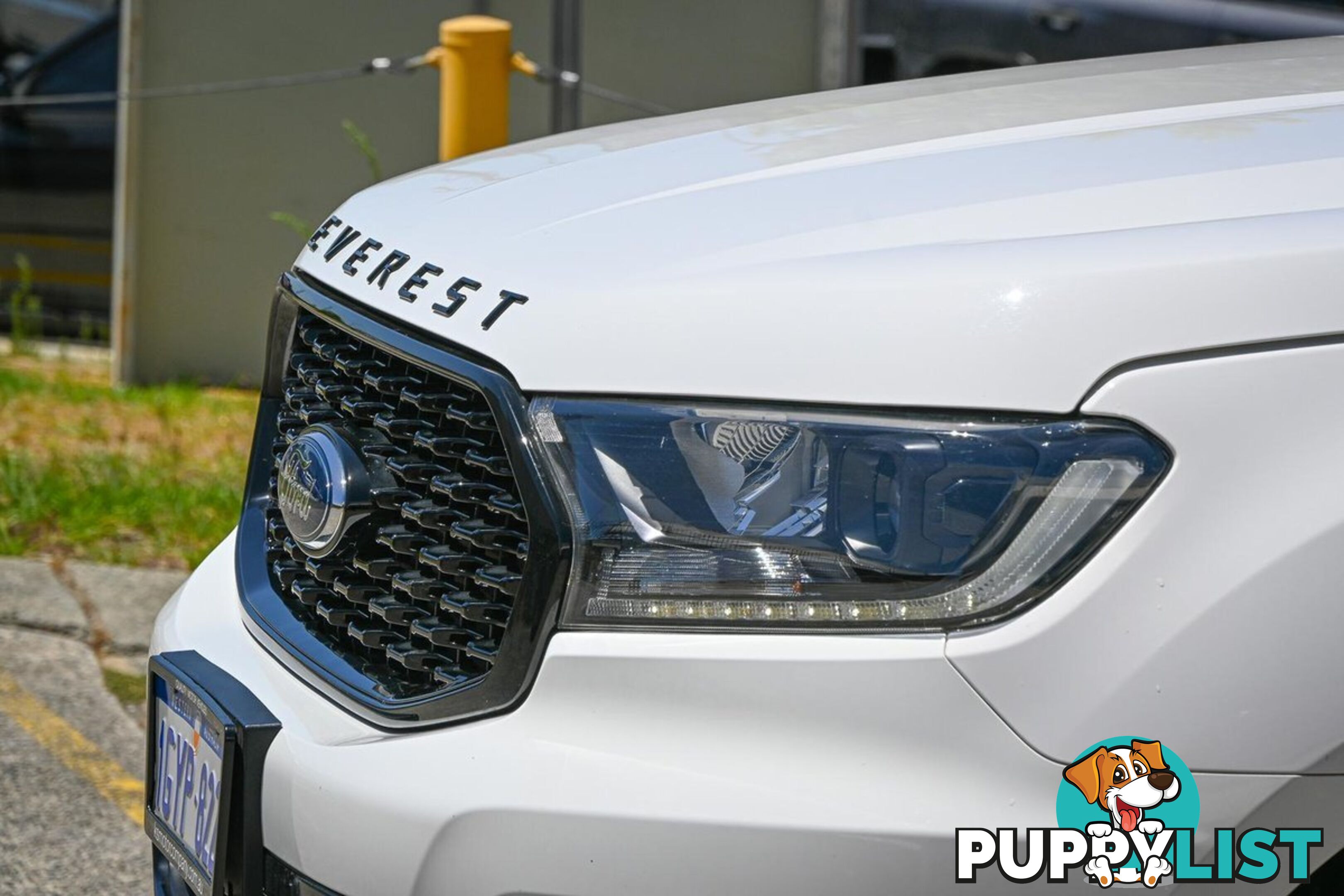 2019 FORD EVEREST SPORT UA-II-MY20.25-4X4-DUAL-RANGE SUV