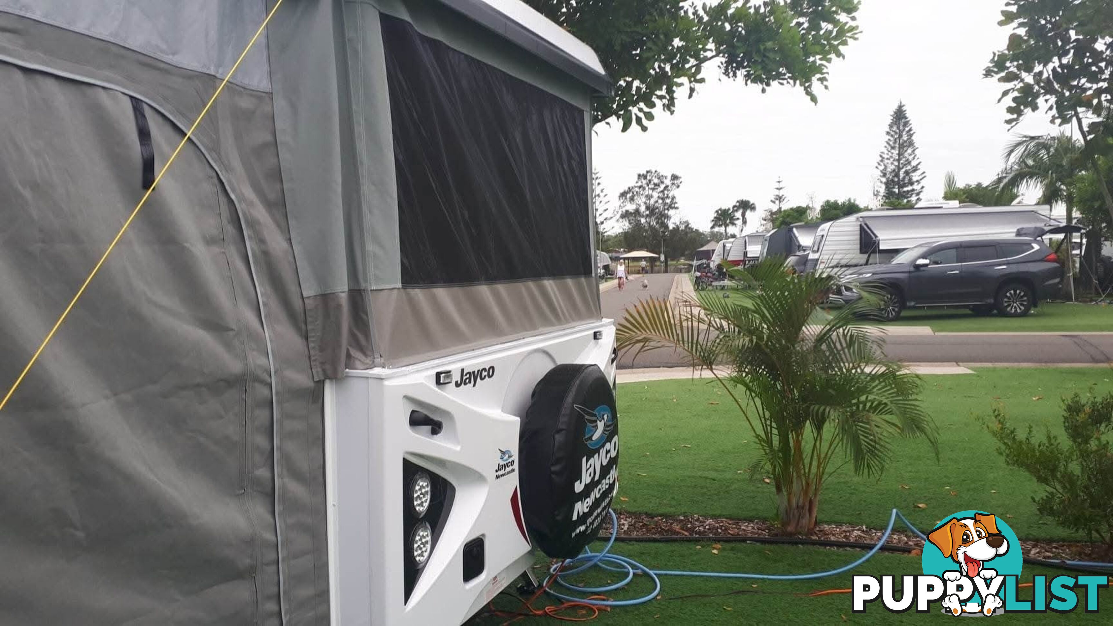 2023 Jayco PENGUIN