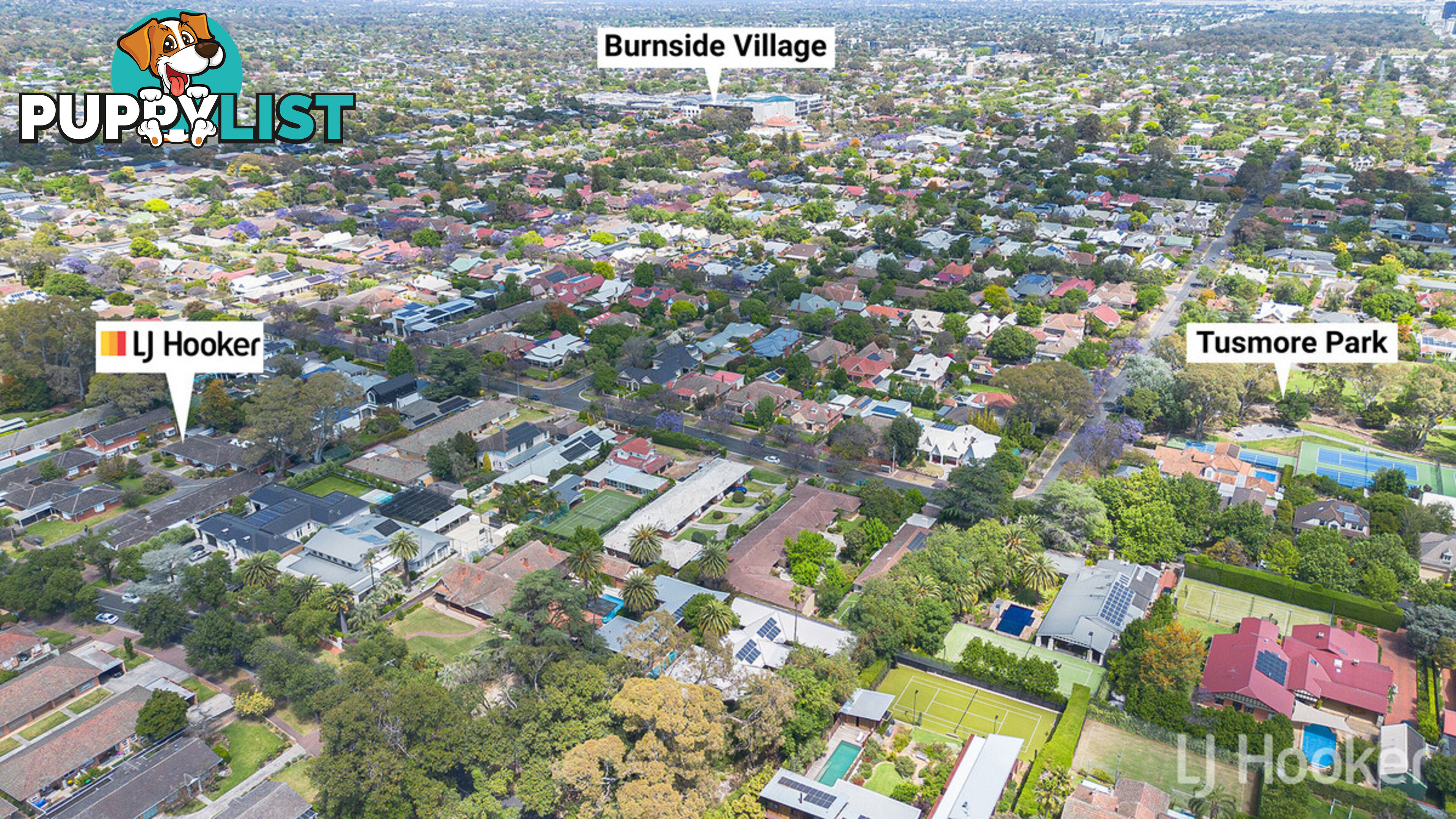 9/83 Tusmore Avenue TUSMORE SA 5065