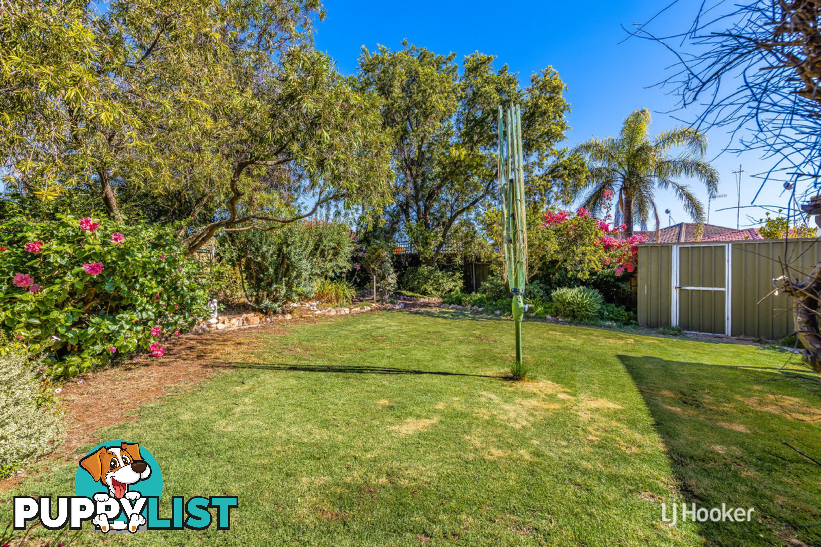 40 Megunya Crescent CRAIGMORE SA 5114