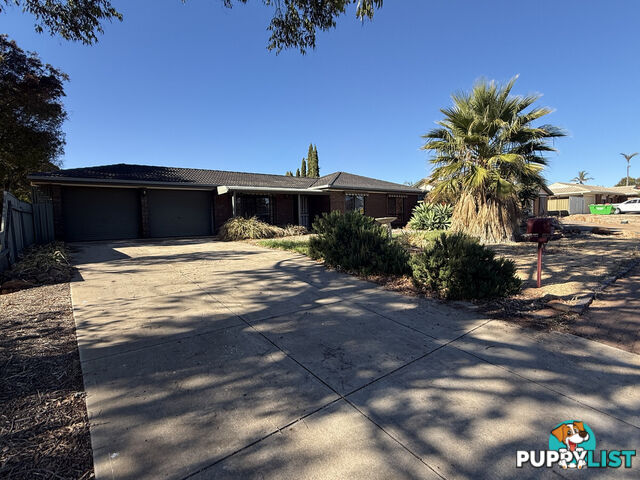 16 Springvale Drive BLAKEVIEW SA 5114