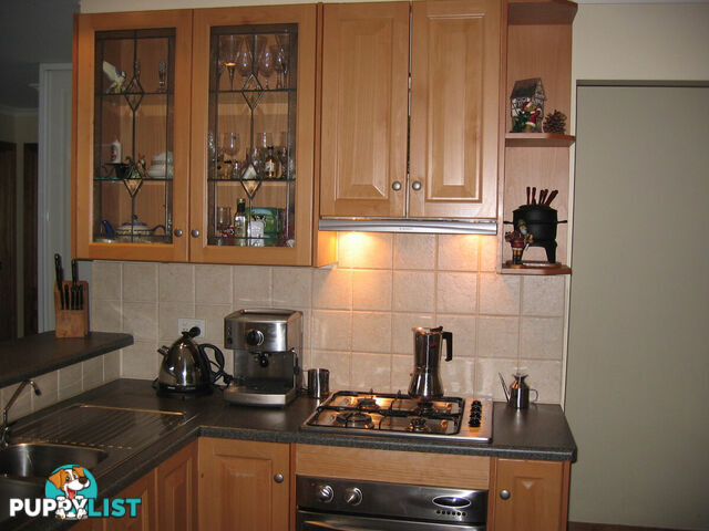 16 Springvale Drive BLAKEVIEW SA 5114