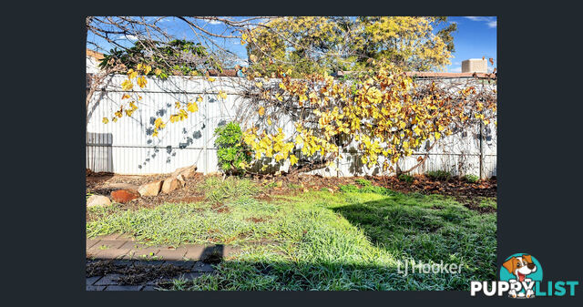 16 Burford Street ELIZABETH DOWNS SA 5113