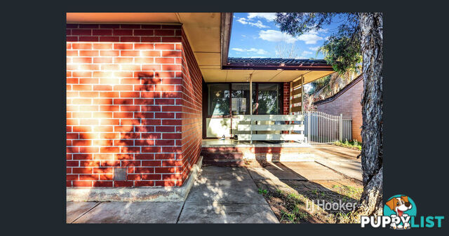 16 Burford Street ELIZABETH DOWNS SA 5113