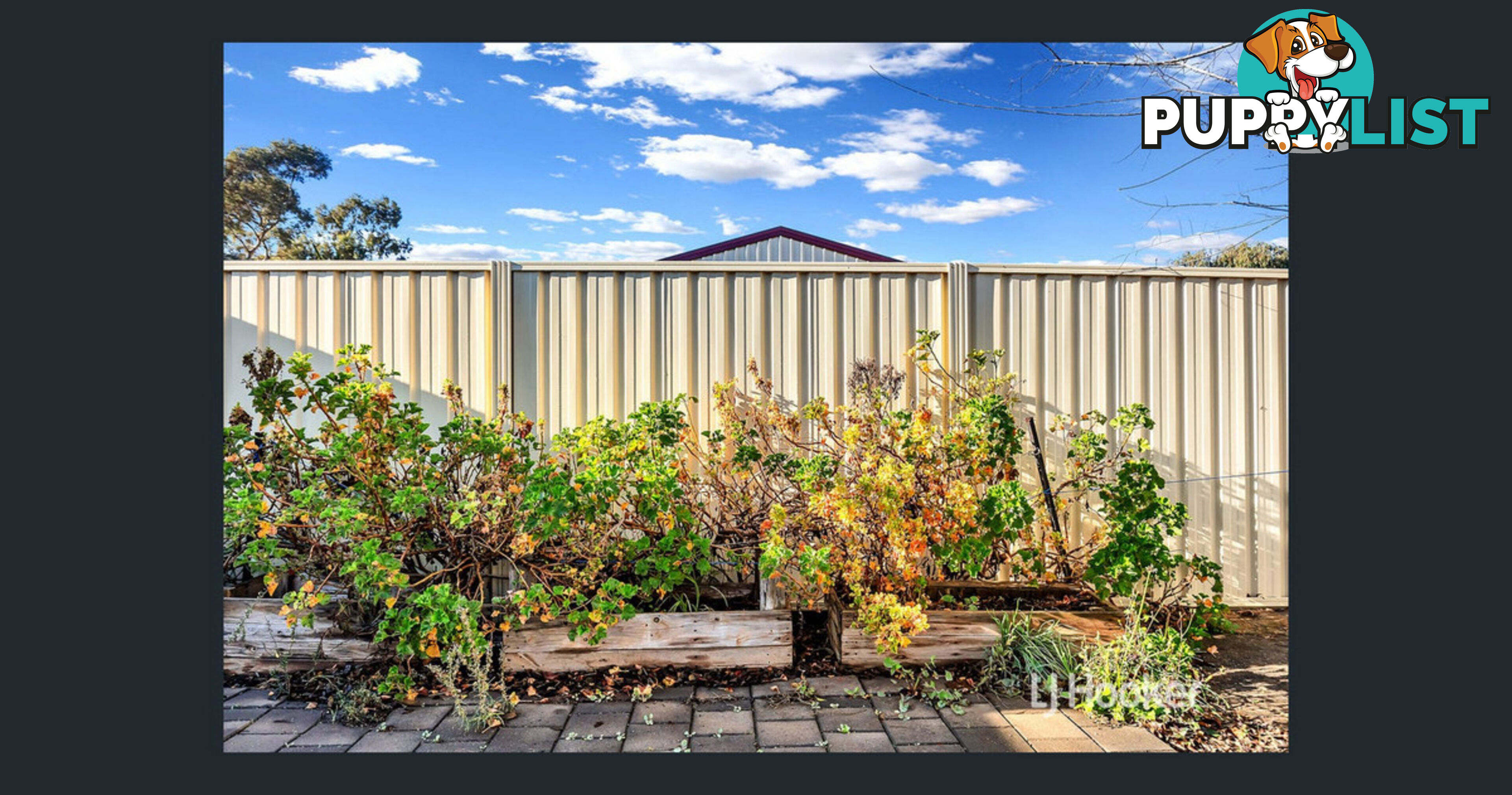 16 Burford Street ELIZABETH DOWNS SA 5113