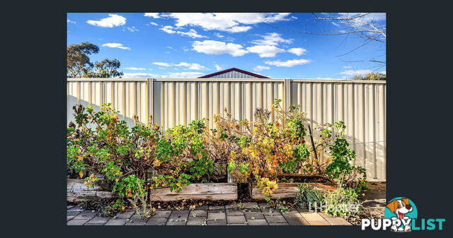 16 Burford Street ELIZABETH DOWNS SA 5113