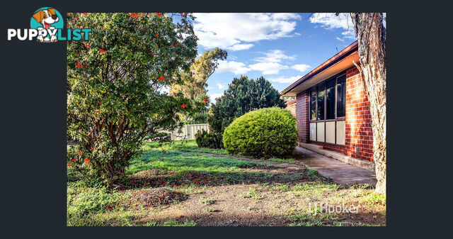 16 Burford Street ELIZABETH DOWNS SA 5113