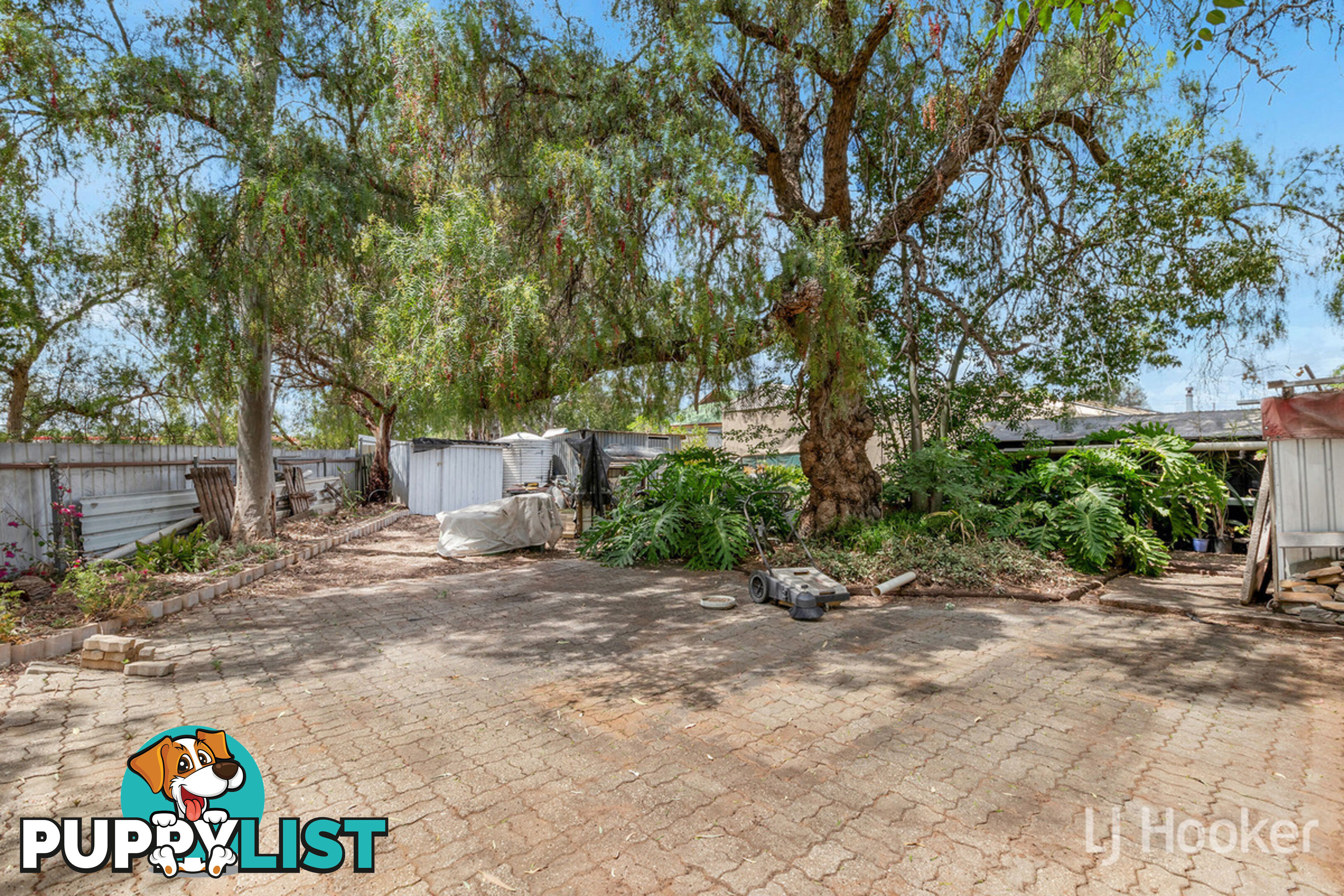 6 Rose Street SMITHFIELD SA 5114