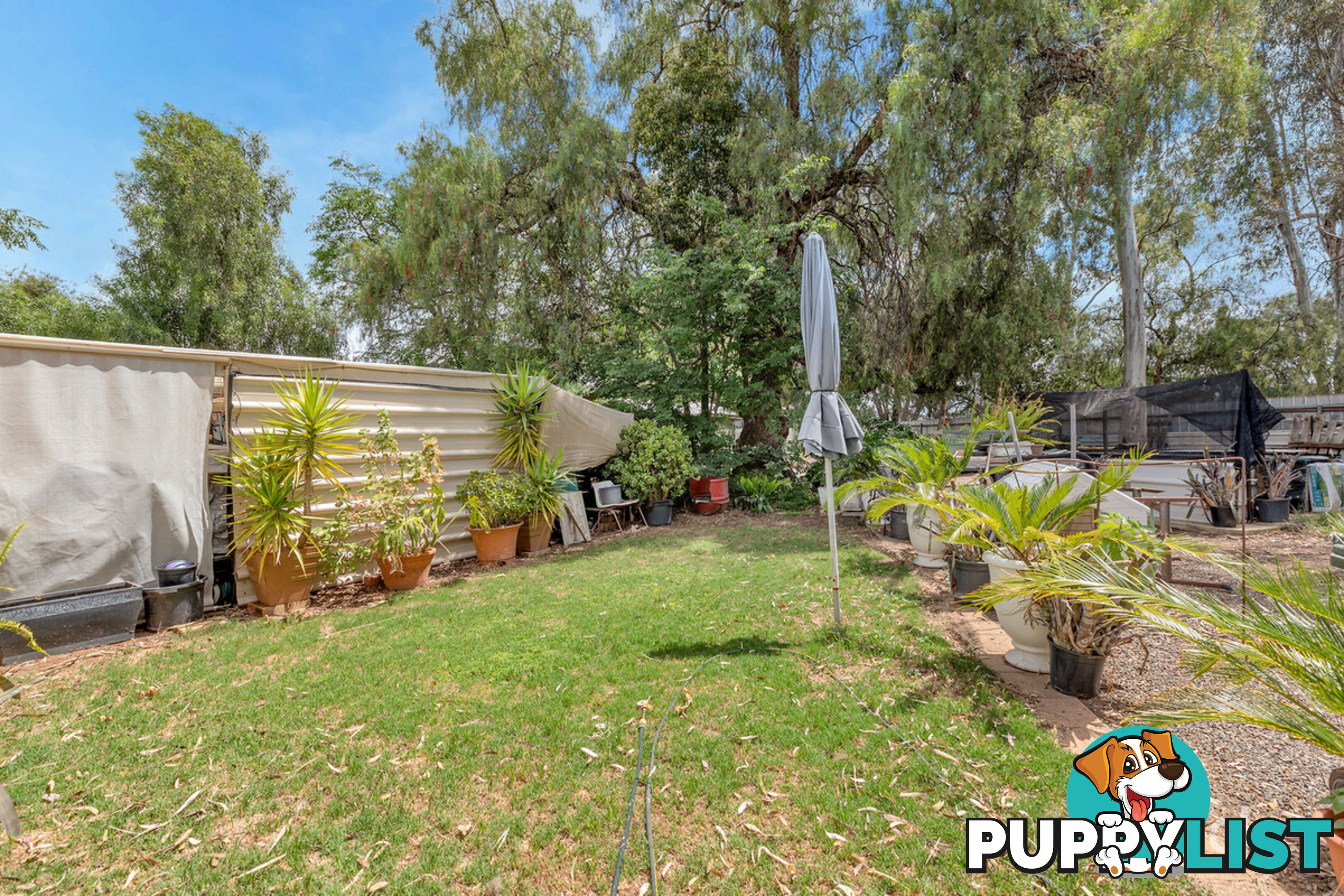 6 Rose Street SMITHFIELD SA 5114