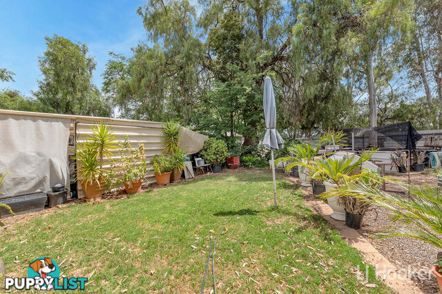 6 Rose Street SMITHFIELD SA 5114