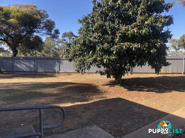 8 Manston Street ELIZABETH SOUTH SA 5112
