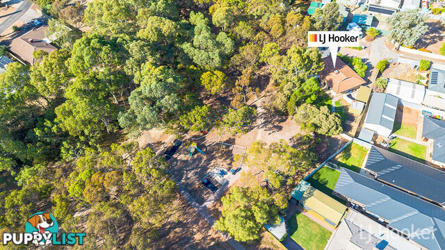 11 Sheedy Court SALISBURY EAST SA 5109