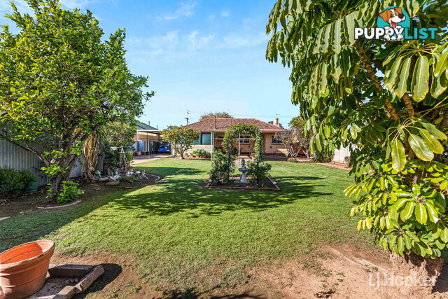 43 Eliza Street SALISBURY SA 5108