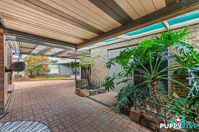 29 Linger Crescent ELIZABETH DOWNS SA 5113