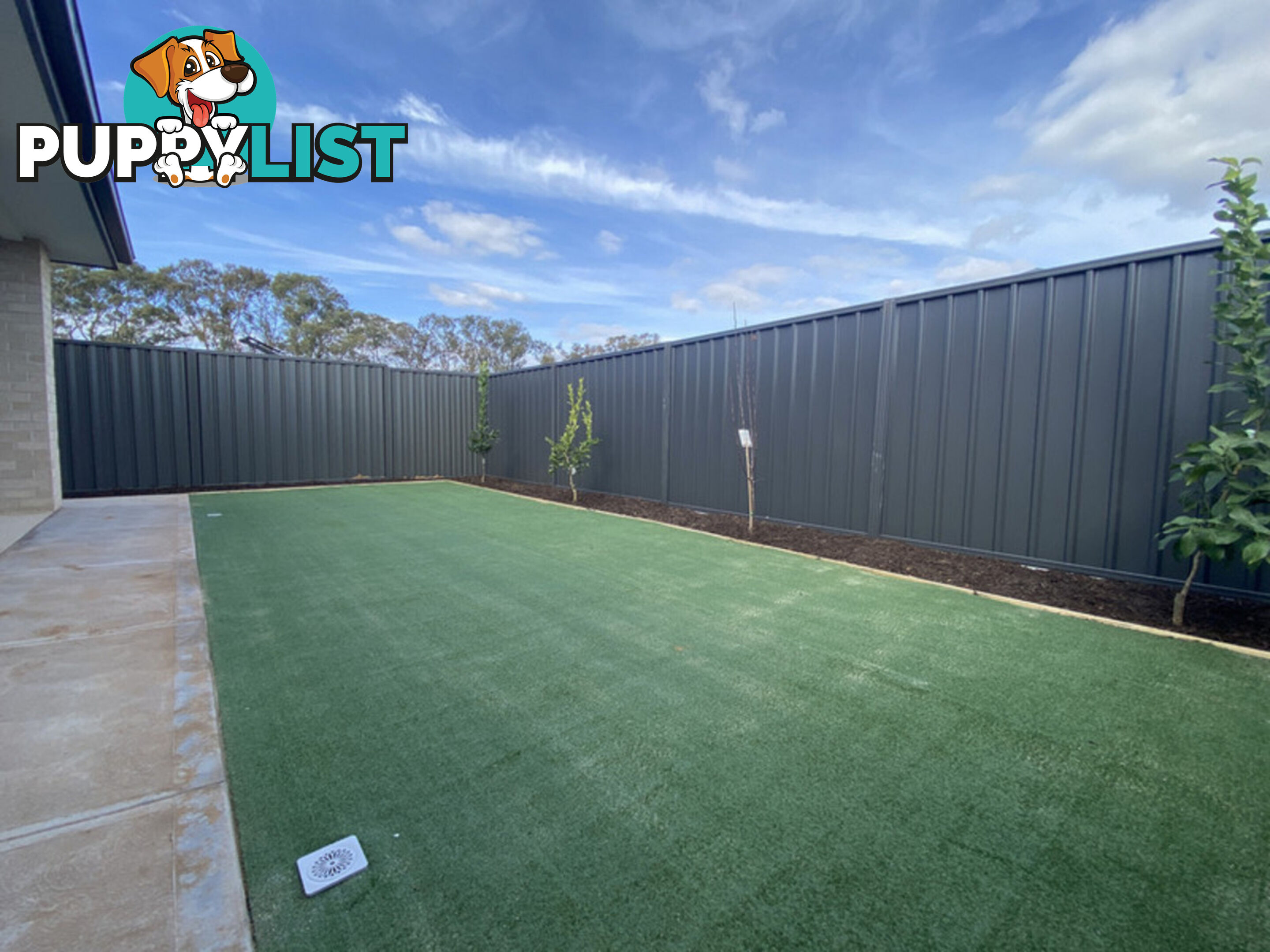 9 Coorong Crescent ANDREWS FARM SA 5114