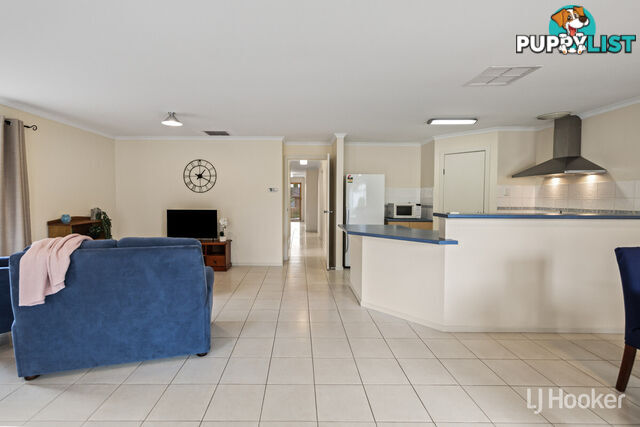 12 Spaxton Crescent CRAIGMORE SA 5114
