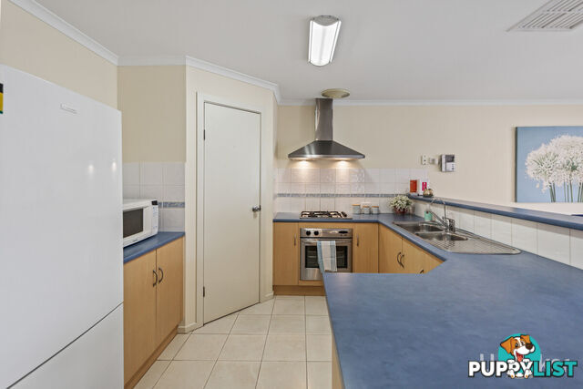 12 Spaxton Crescent CRAIGMORE SA 5114