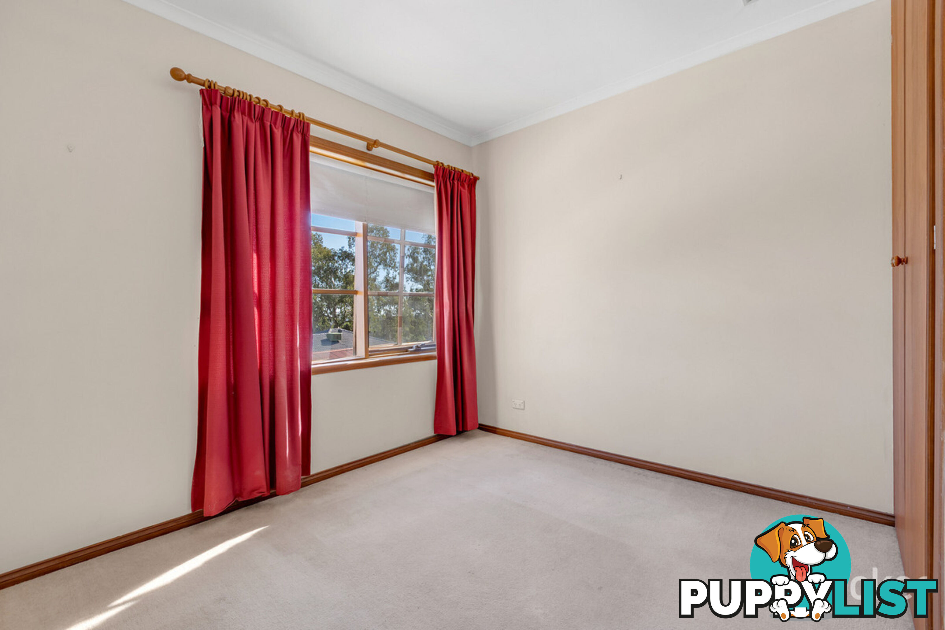 2 Park Street TEA TREE GULLY SA 5091