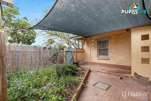 5 Kingston Street DAVOREN PARK SA 5113