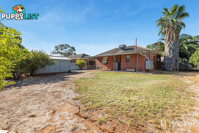 28 Campbell Road ELIZABETH DOWNS SA 5113