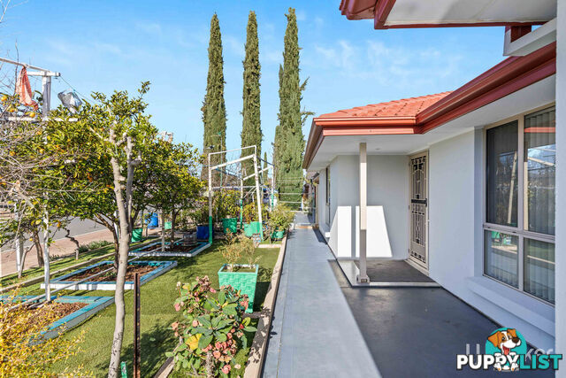 3 Admiralty Circuit SMITHFIELD SA 5114