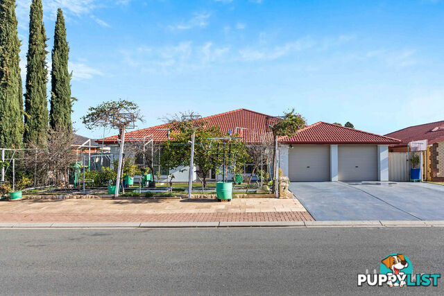3 Admiralty Circuit SMITHFIELD SA 5114