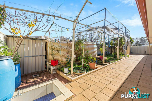 3 Admiralty Circuit SMITHFIELD SA 5114