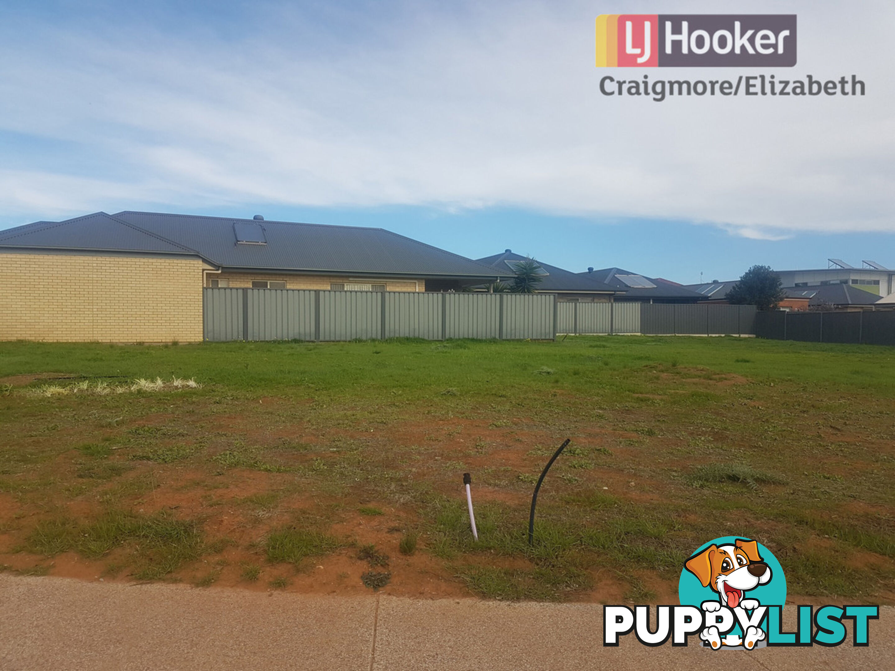 16 Hawick Avenue BLAKEVIEW SA 5114