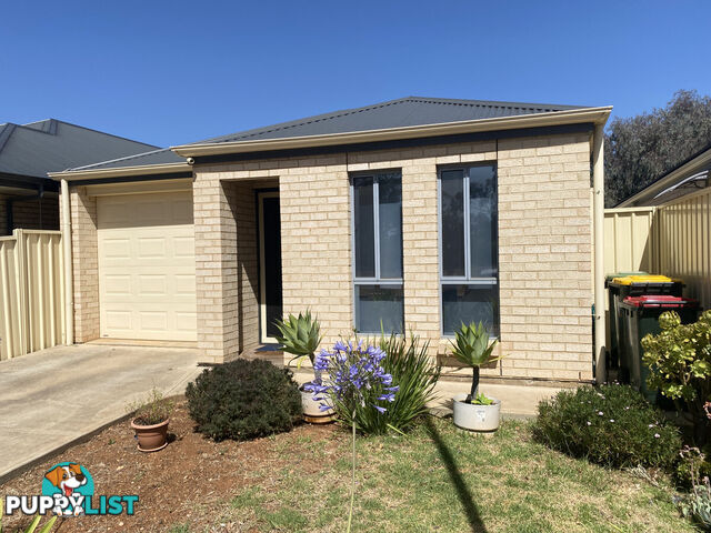 16B McKenzie Road ELIZABETH DOWNS SA 5113