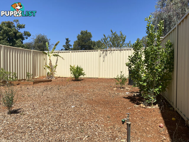 16B McKenzie Road ELIZABETH DOWNS SA 5113