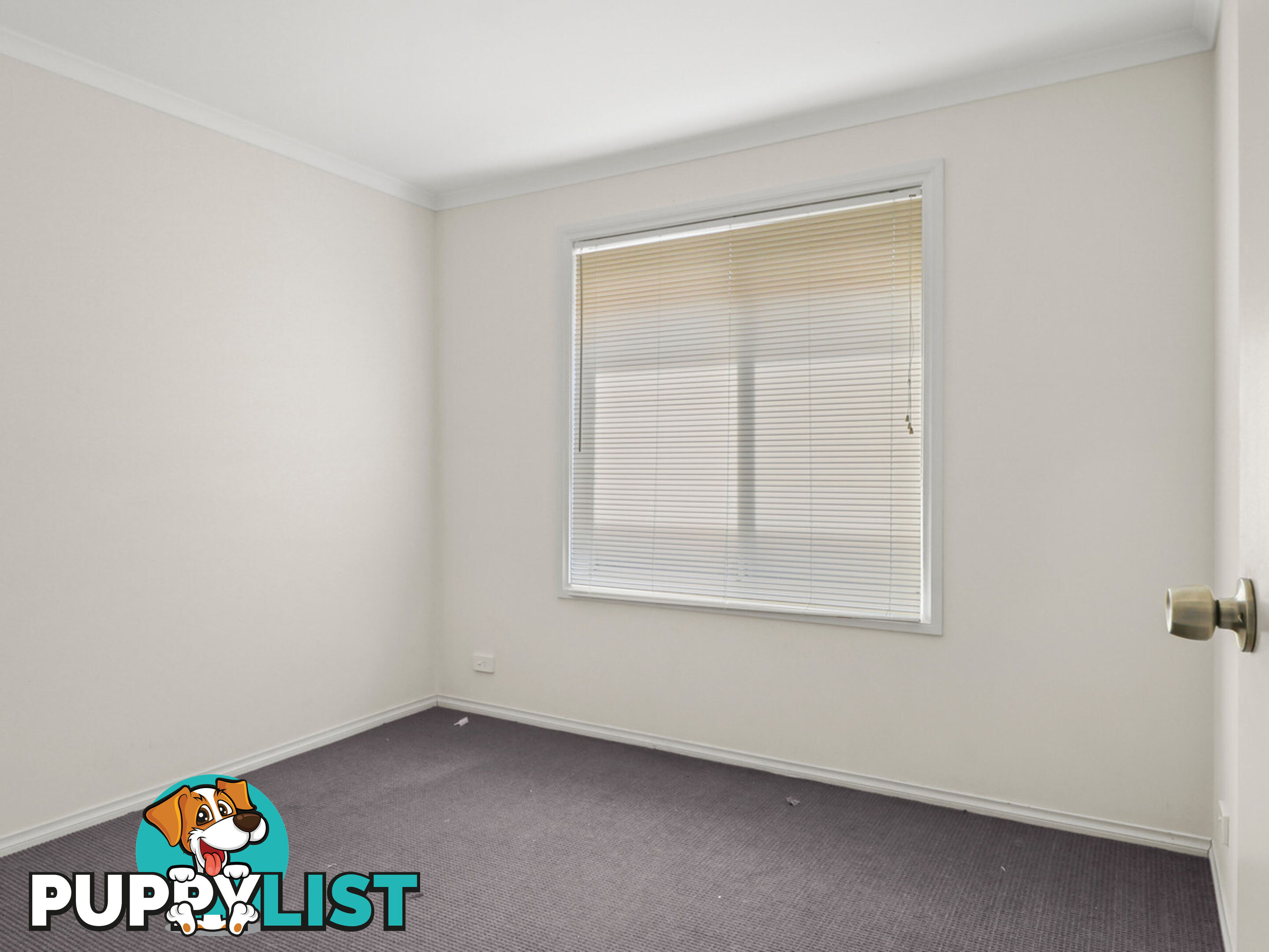 19 Bingham Road SALISBURY NORTH SA 5108
