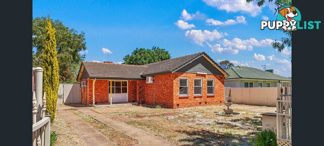 8 Short Road ELIZABETH SA 5112