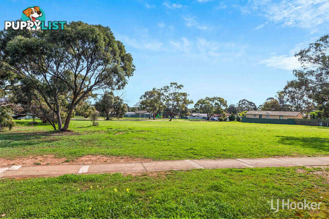 11 Conmurra Court CRAIGMORE SA 5114