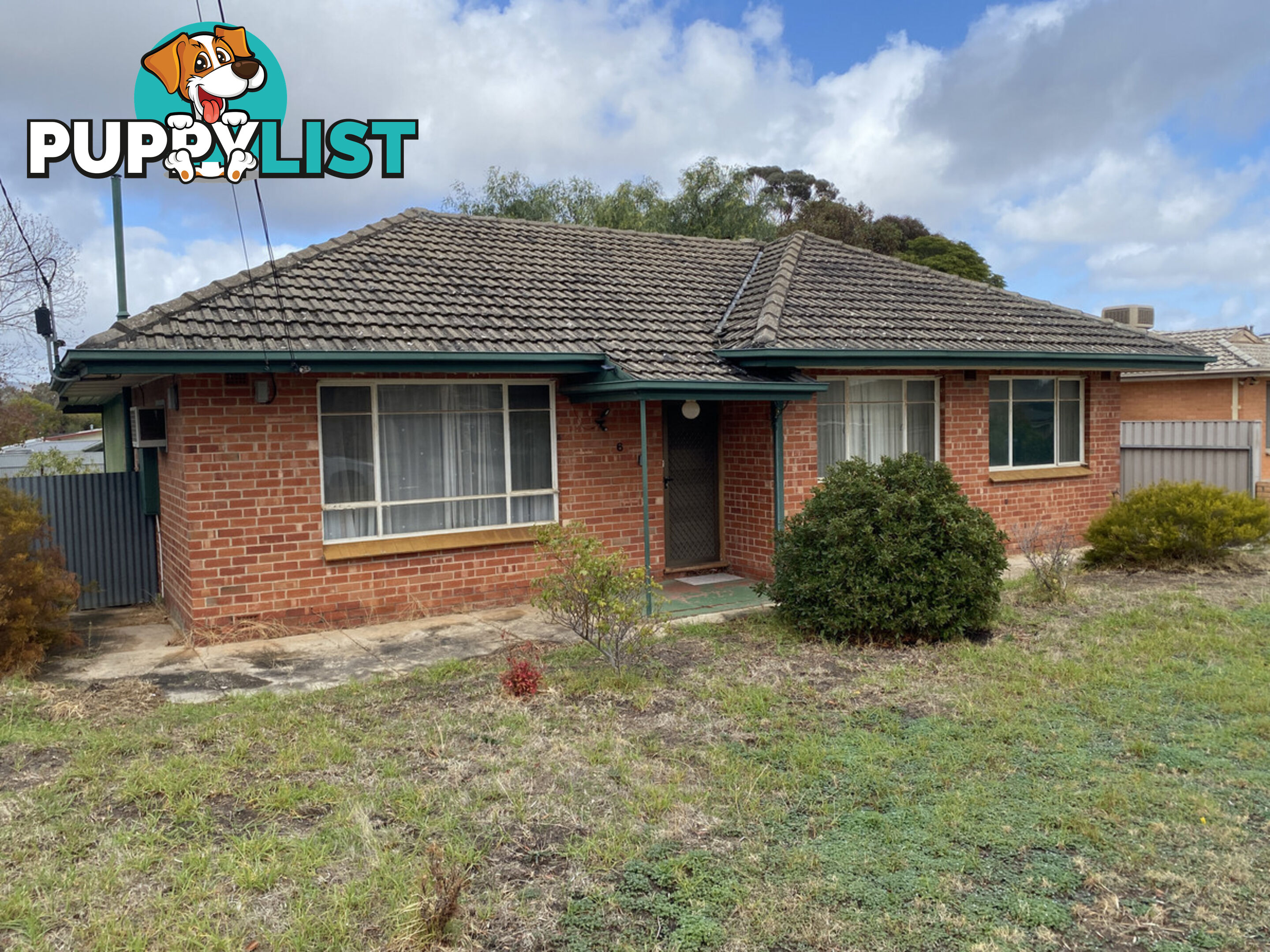 6 Douglas Street RIDGEHAVEN SA 5097