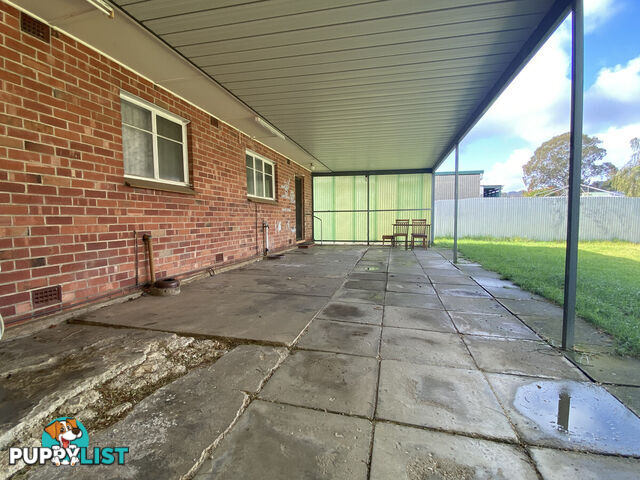 6 Douglas Street RIDGEHAVEN SA 5097