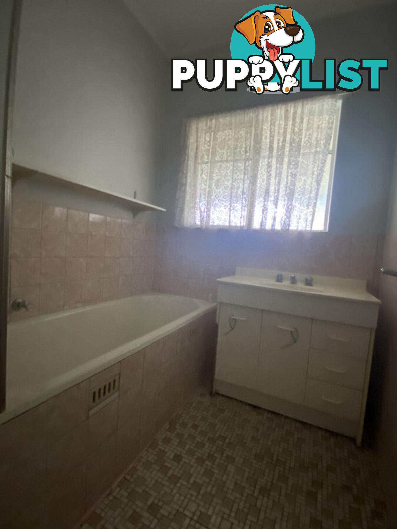 6 Douglas Street RIDGEHAVEN SA 5097