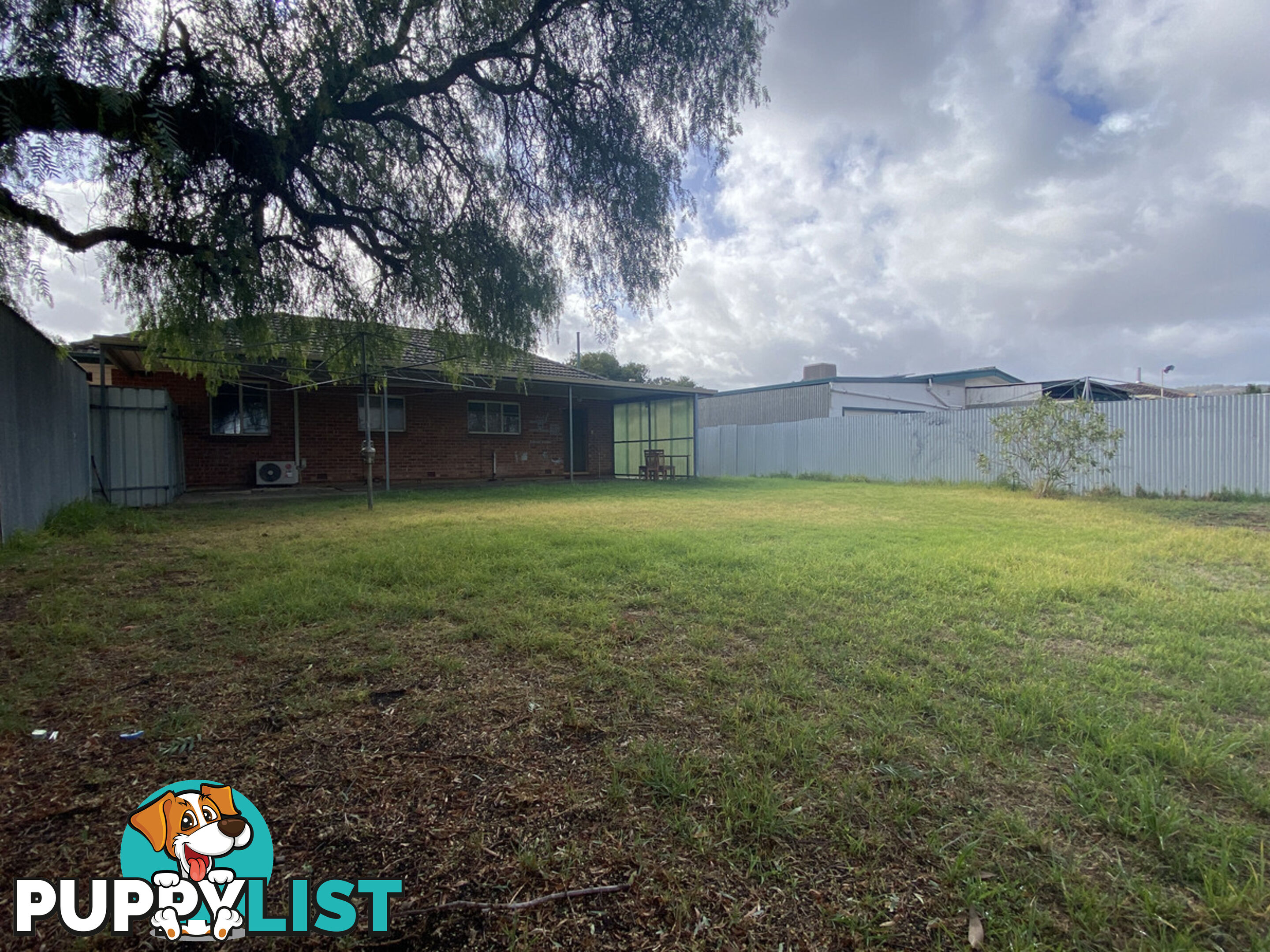 6 Douglas Street RIDGEHAVEN SA 5097